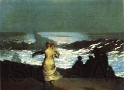 Winslow Homer A Summer Night Norge oil painting art